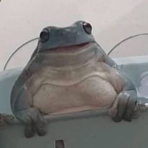 Meet your Posher, Marco